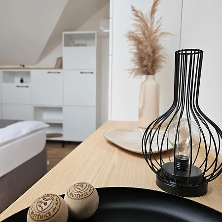 Apartment Pod Vinohradem - & Vinne Sklepy